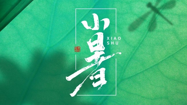 三伏將至，避暑預警！