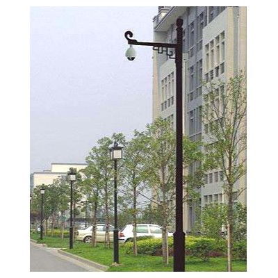 菲尼特仿古監控桿