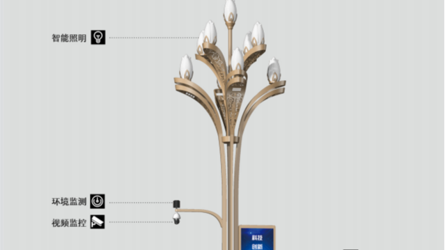 四川標準文化特色路燈桿